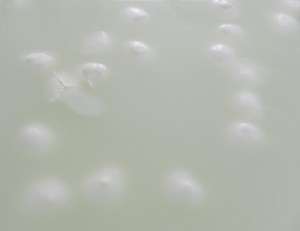 the-blogazine-mozzarella-3