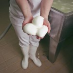 the-blogazine-mozzarella-4