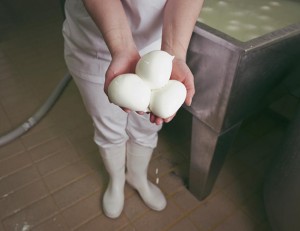 the-blogazine-mozzarella-4