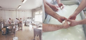 the-blogazine-mozzarella-9