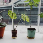 the-blogazine-20130627-unestablished-1