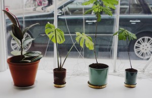 the-blogazine-20130627-unestablished-1