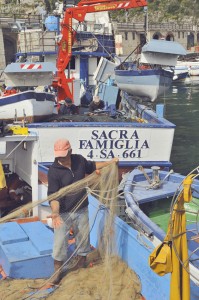 theblogazine-20130611-anchovies-10