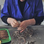 theblogazine-20130611-anchovies-11