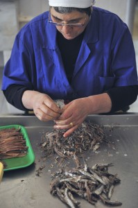 theblogazine-20130611-anchovies-11