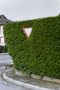 they are following us01