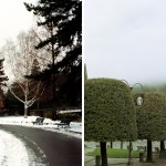 they are following us02