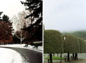 they are following us02