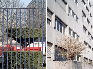 they are following us03