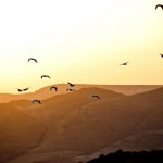 the-blogazine-20130705-marrakech-1