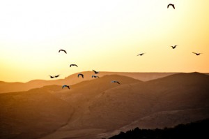 the-blogazine-20130705-marrakech-1