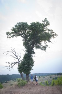 the-blogazine-20130710-linguini-recipe-from-tuscany-1
