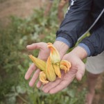 the-blogazine-20130710-linguini-recipe-from-tuscany-4