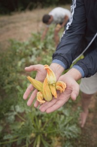 the-blogazine-20130710-linguini-recipe-from-tuscany-4