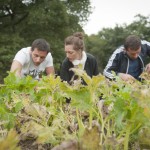 the-blogazine-20130710-linguini-recipe-from-tuscany-5