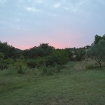 the-blogazine-20130710-linguini-recipe-from-tuscany-6