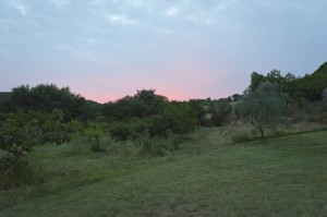 the-blogazine-20130710-linguini-recipe-from-tuscany-6