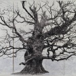 Majesty 2006 by Tacita Dean born 1965