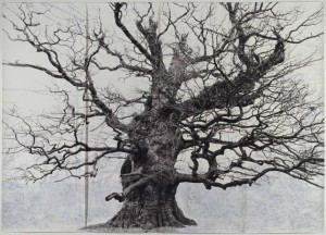 Majesty 2006 by Tacita Dean born 1965