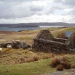the-blogazine-20130726-wild-at-heart-scotland-02-Richard-Webb