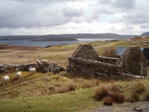 the-blogazine-20130726-wild-at-heart-scotland-02-Richard-Webb