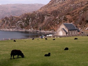 the-blogazine-20130726-wild-at-heart-scotland-03-AlastairG