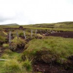 the-blogazine-20130726-wild-at-heart-scotland-04-Richard-Webb