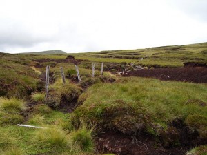 the-blogazine-20130726-wild-at-heart-scotland-04-Richard-Webb