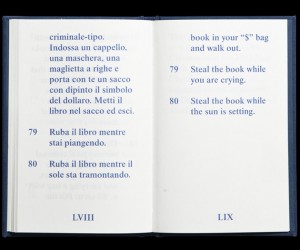 the-blogazine-summer-2013-beach-readings-tips-how-to-shoplift-books-3