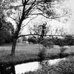 the-blogazine--summer-2013-Broken Fall_high res