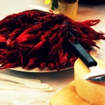 the-blogazine-summer-2013-swedish-summer