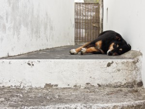 the-blogazine-20130906-stromboli-travel-luca di ciaccio-2