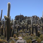 the-blogazine-20130920-bolivia-carmelo-flores-laura-4