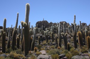 the-blogazine-20130920-bolivia-carmelo-flores-laura-4
