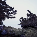 the-blogazine-20130931-kim-ohrling-finland-4