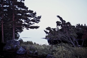 the-blogazine-20130931-kim-ohrling-finland-4