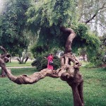 theblogazine-11092013-portfolio-review-ulijona-odisarija-02