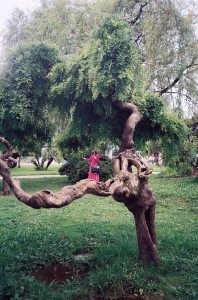 theblogazine-11092013-portfolio-review-ulijona-odisarija-02