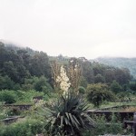 theblogazine-11092013-portfolio-review-ulijona-odisarija-03