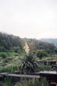 theblogazine-11092013-portfolio-review-ulijona-odisarija-03