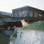 theblogazine-11092013-portfolio-review-ulijona-odisarija-04