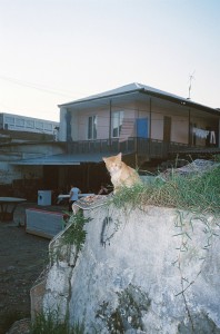 theblogazine-11092013-portfolio-review-ulijona-odisarija-04