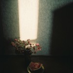 theblogazine-11092013-portfolio-review-ulijona-odisarija-09