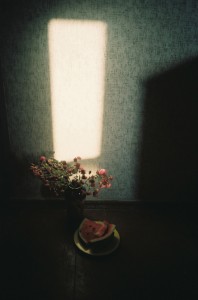 theblogazine-11092013-portfolio-review-ulijona-odisarija-09