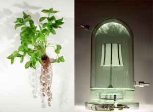 the-blogazine-biodesign-Biolace-half-life-lamp