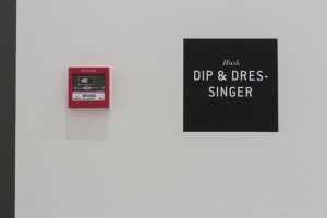 The-blogazine-20131118-Haim-Steinbach-1