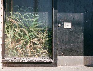 the-blogazine-20131120-ph-review-brian-w-ferry-05