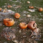 The-blogazine-20131204-shane-lavalette-12