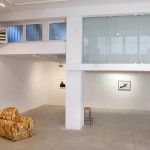 The-blogazine-20131210-jana-sterbak-03