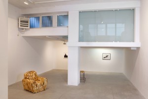 The-blogazine-20131210-jana-sterbak-03
